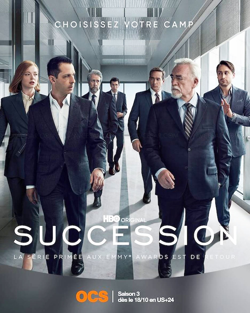 Affiche de la série : Succession